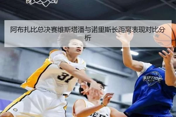阿布扎比总决赛维斯塔潘与诺里斯长距离表现对比分析