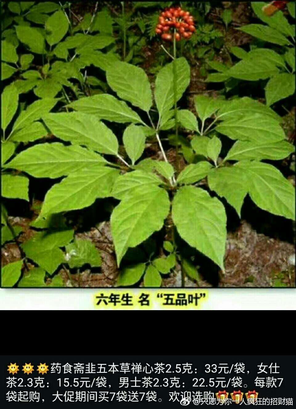 九游棋牌